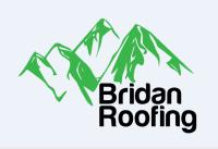 Bridan Roofing Loveland image 2
